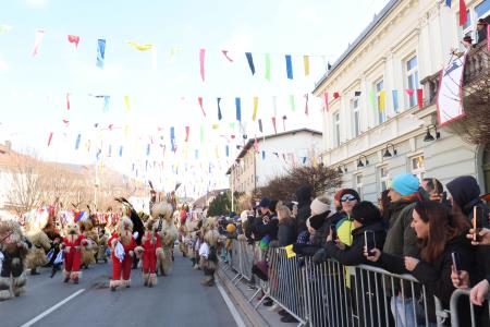 PUSTNI KARNEVAL PUSTOLETJE 39 FOTO LJUBO VUKELIČ